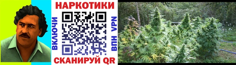 Купить наркотик Череповец СК  Псилоцибиновые грибы  ГАШ  Бошки Шишки  NBOMe  Амфетамин  Мефедрон 