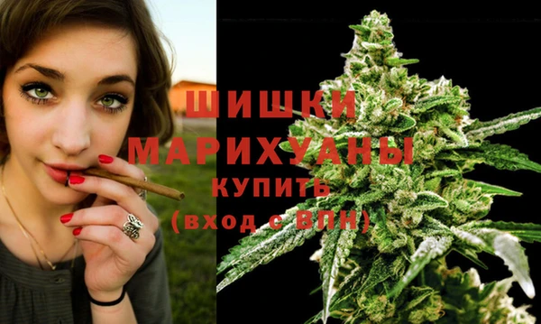ALPHA PVP Белокуриха
